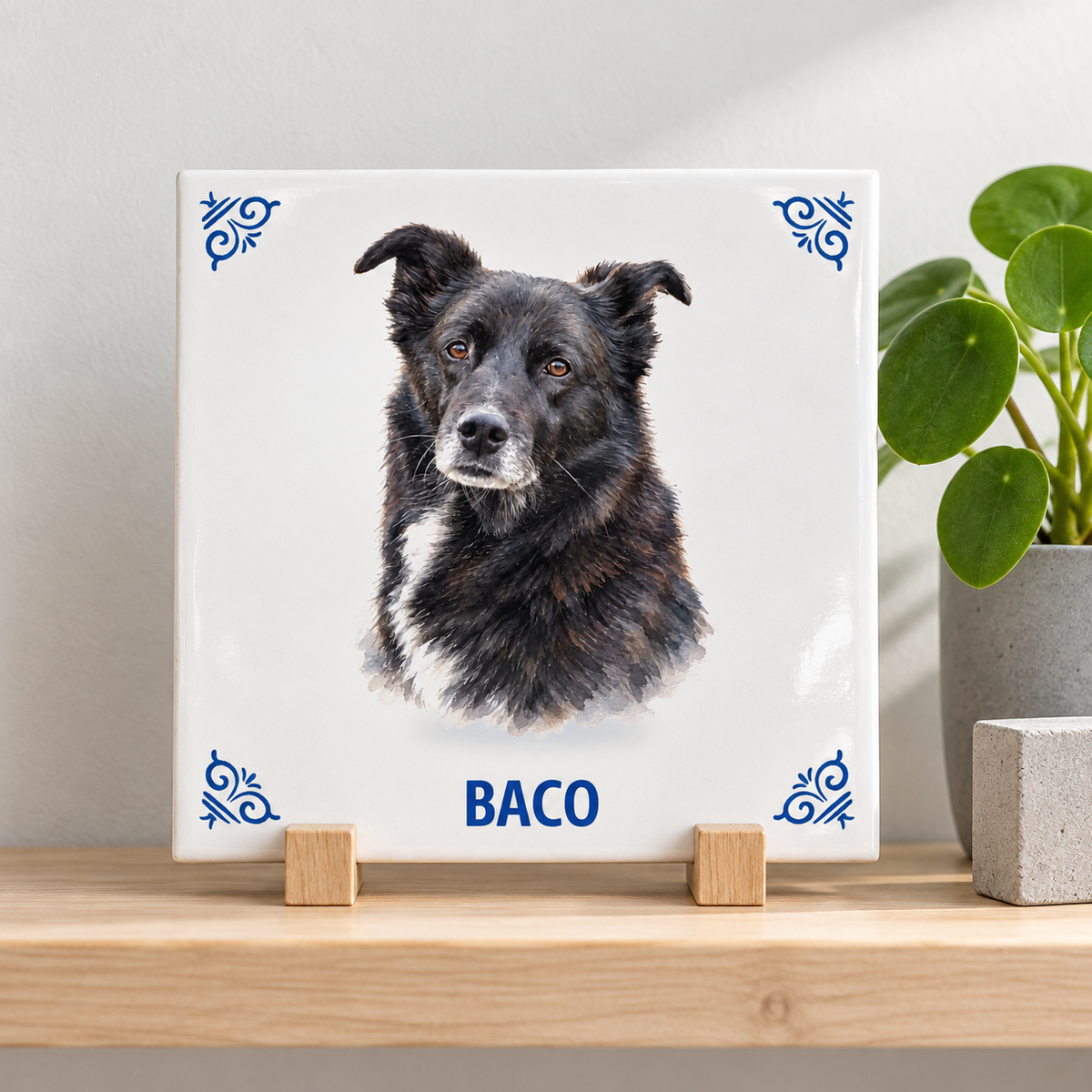 Lifestyle foto tegelontwerp AT1614 Baco