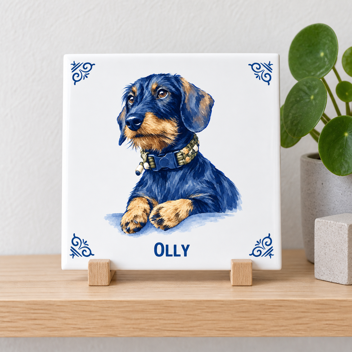 Tegelontwerp Olly AT1546