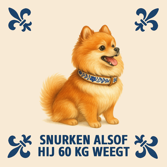 Pomeriaan - Snurken alsof hij 60 kg weegt - Delfts Blauwe Tegel Met Humor