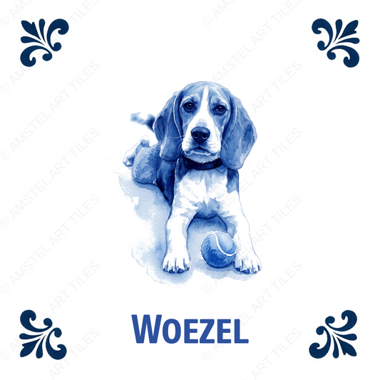 Tegelontwerp voorbeeld