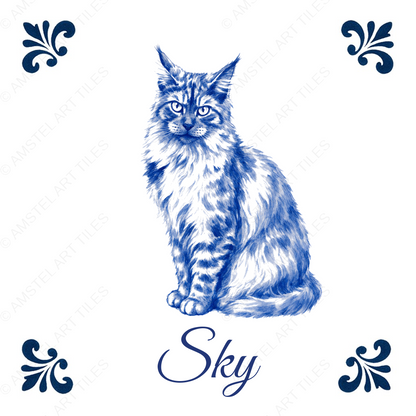 Tegelontwerp Sky