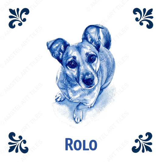 Tegelontwerp Rolo