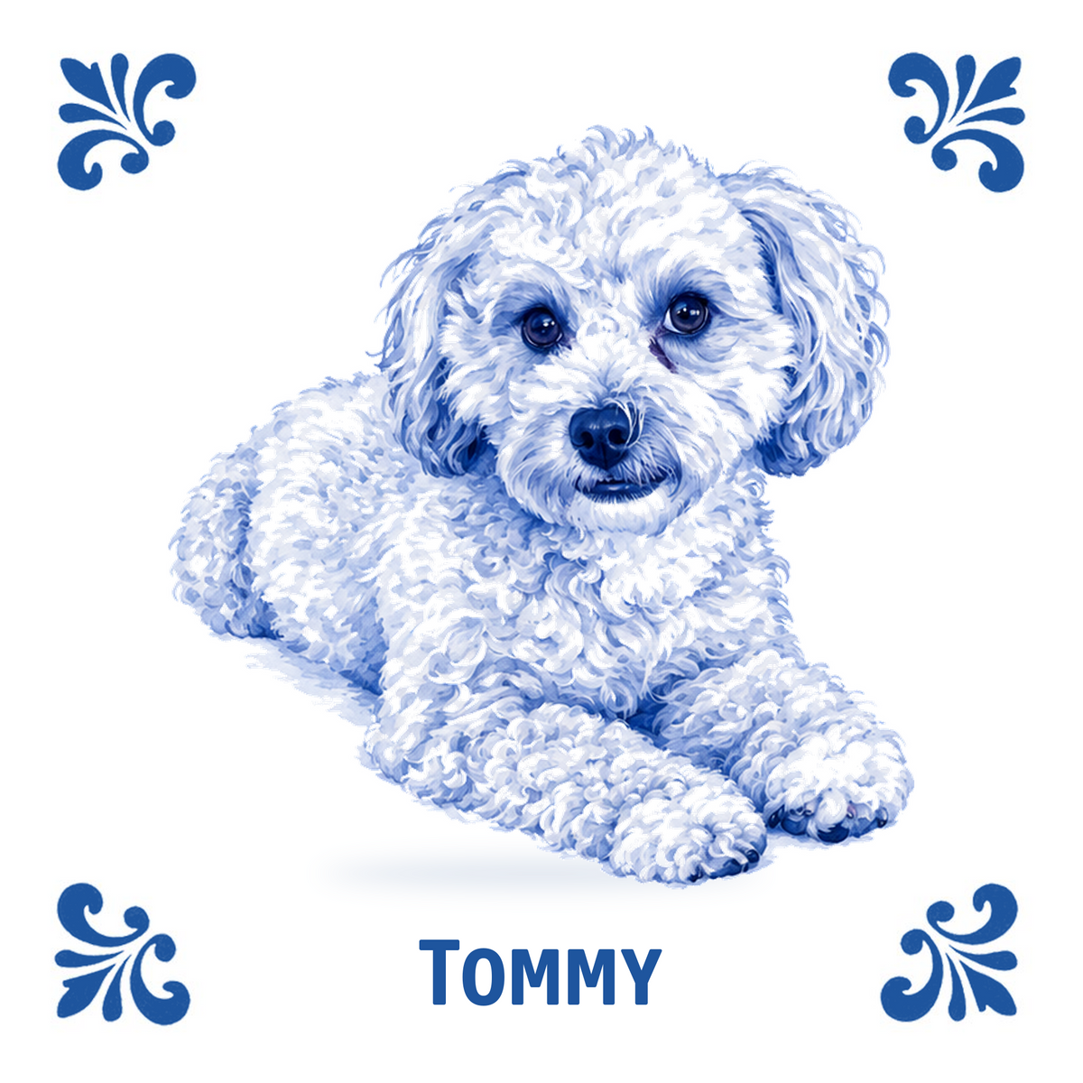 AT1779 Tommy ontwerp 1 oude template
