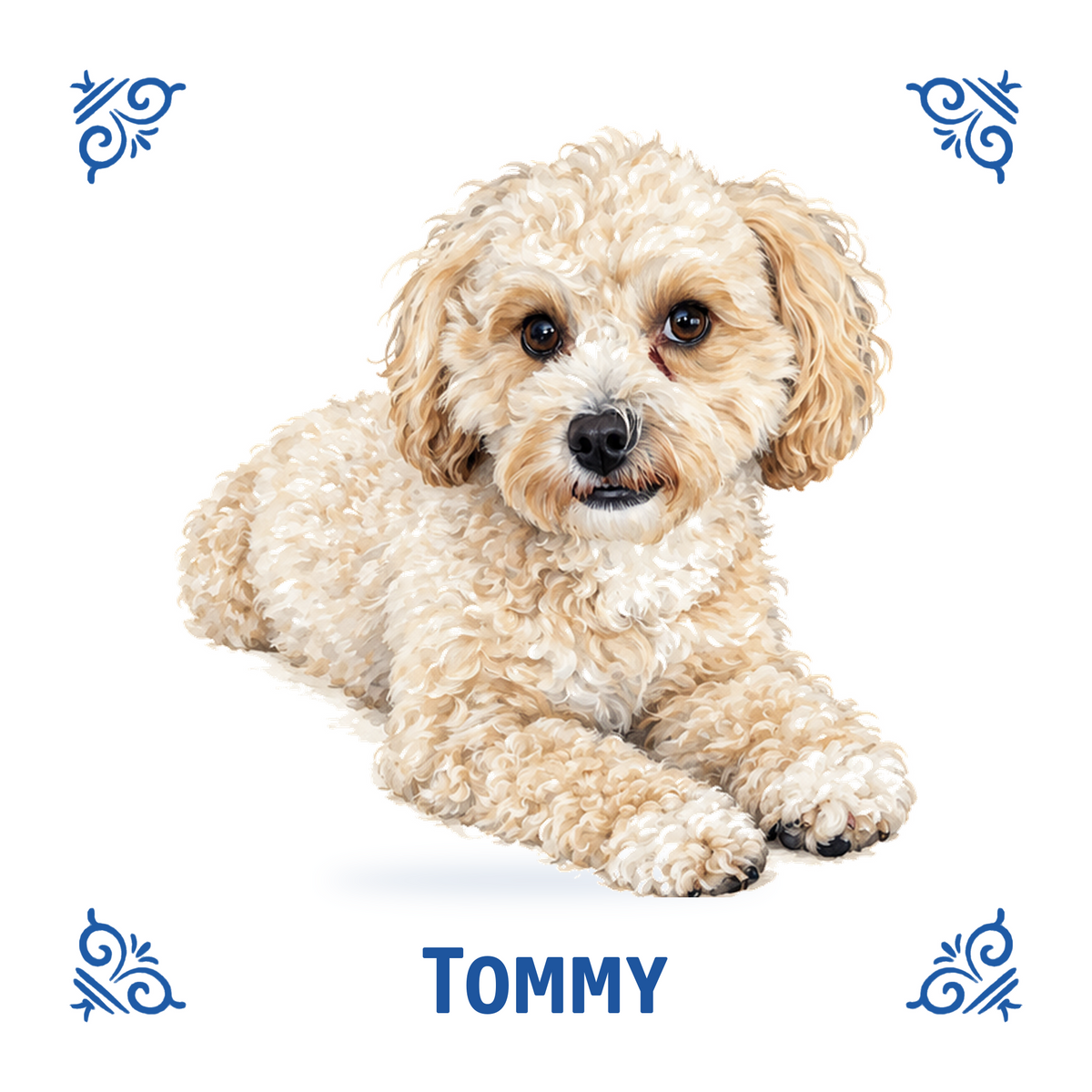 AT1780 Tommy ontwerp 2 nieuwe template kleur