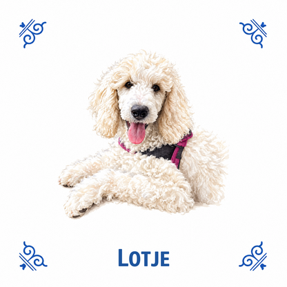 AT2069 tegelontwerp Lotje