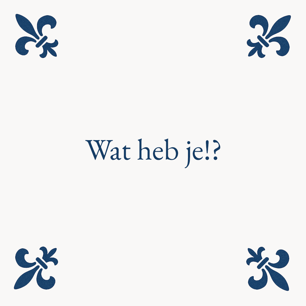 Wat heb je!? - Delfts Blauwe Tegel Met Humor