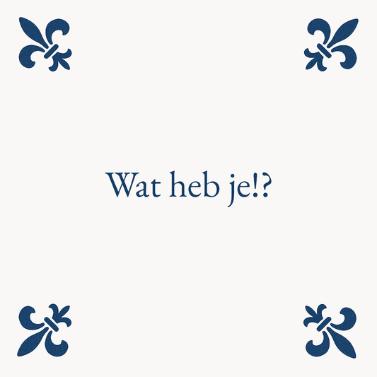 Wat heb je!? - Delfts Blauwe Tegel Met Humor