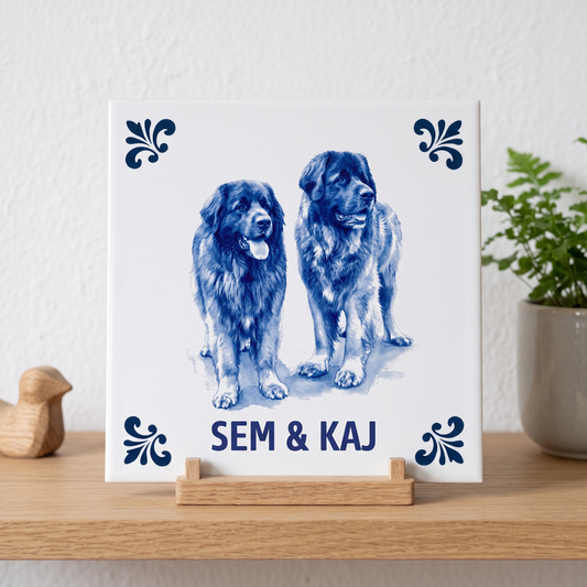 Tegelontwerp – Sem & Kaj – 21-07-2026
