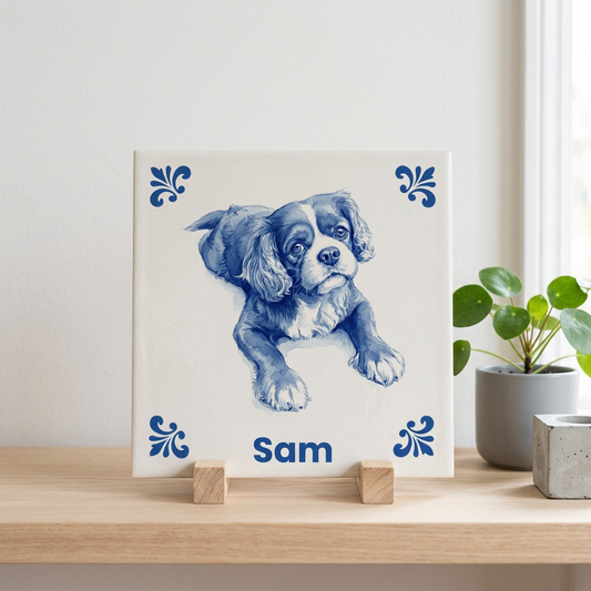 Tegelontwerp Sam