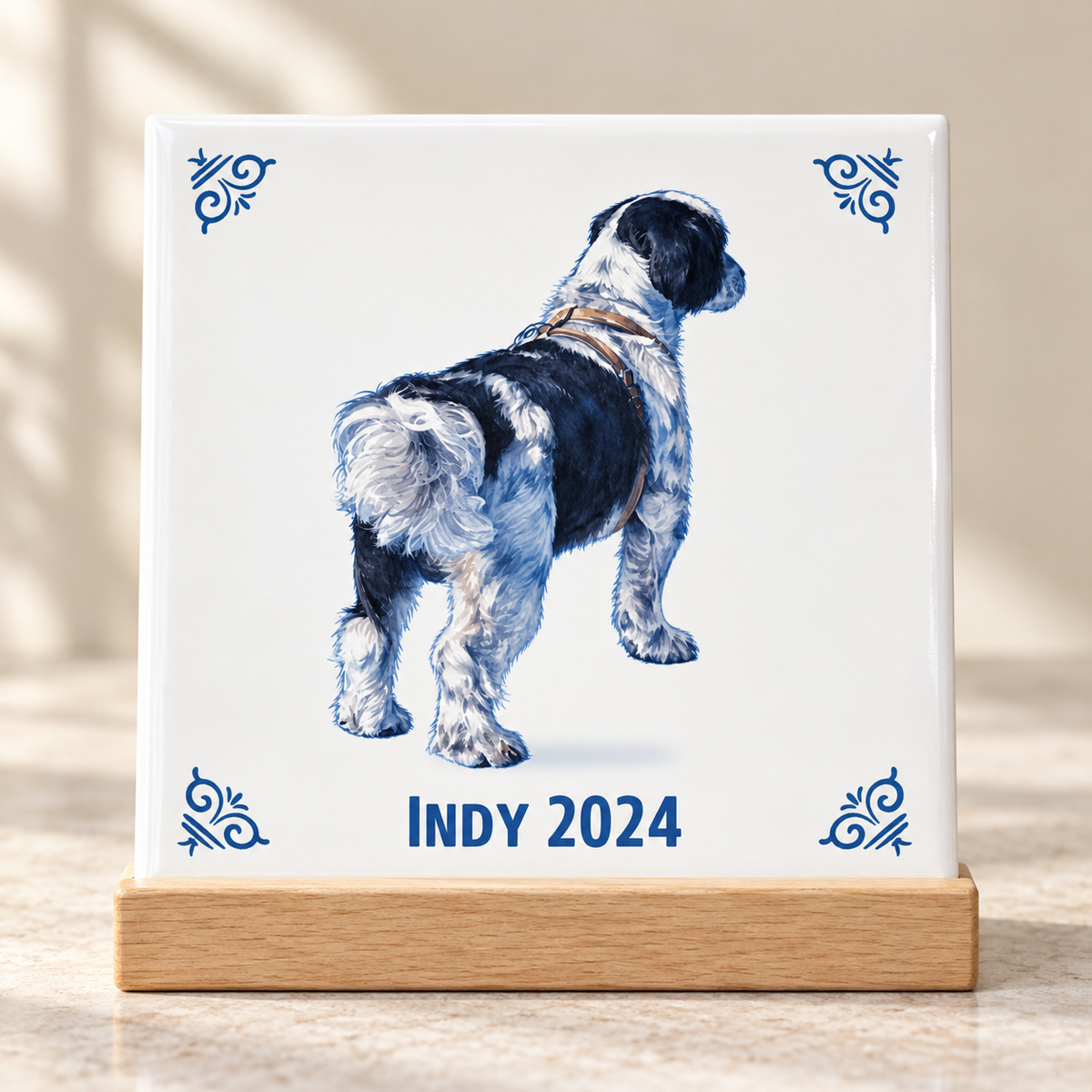 Lifestyle Indy 2024 AT1578