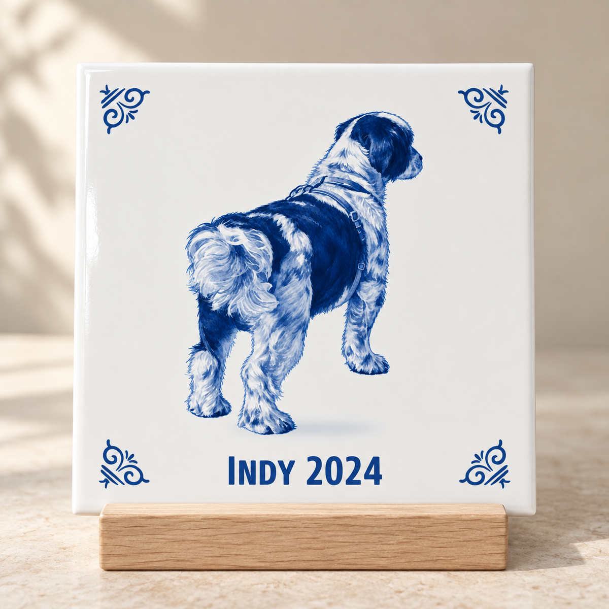 Lifestyle Indy 2024 AT1579