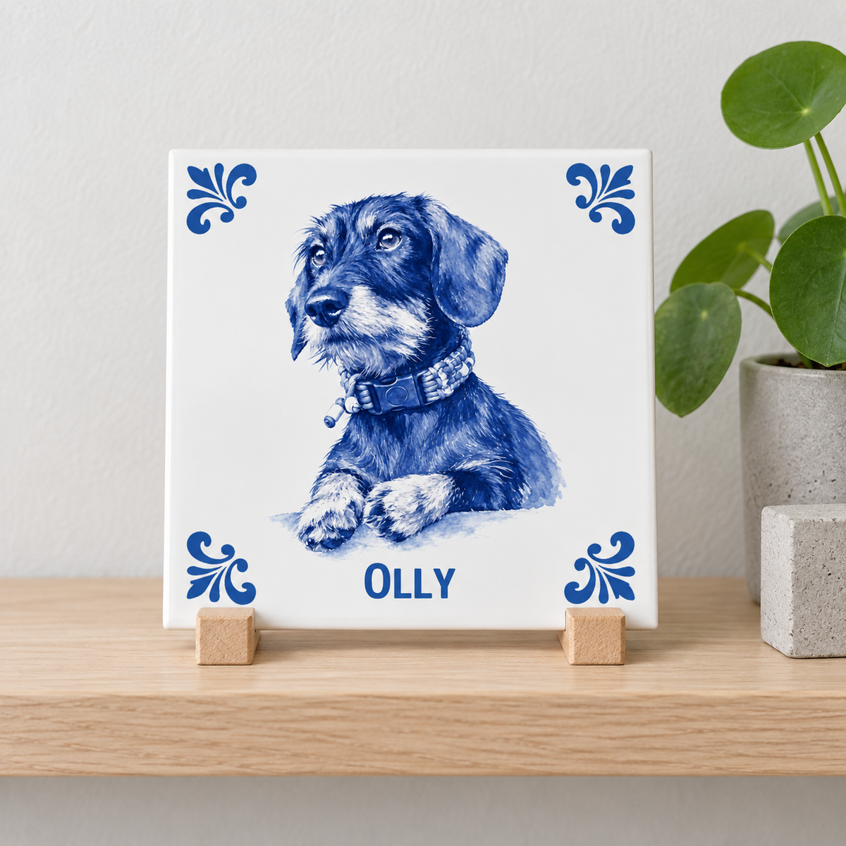 Tegelontwerp Olly AT1542