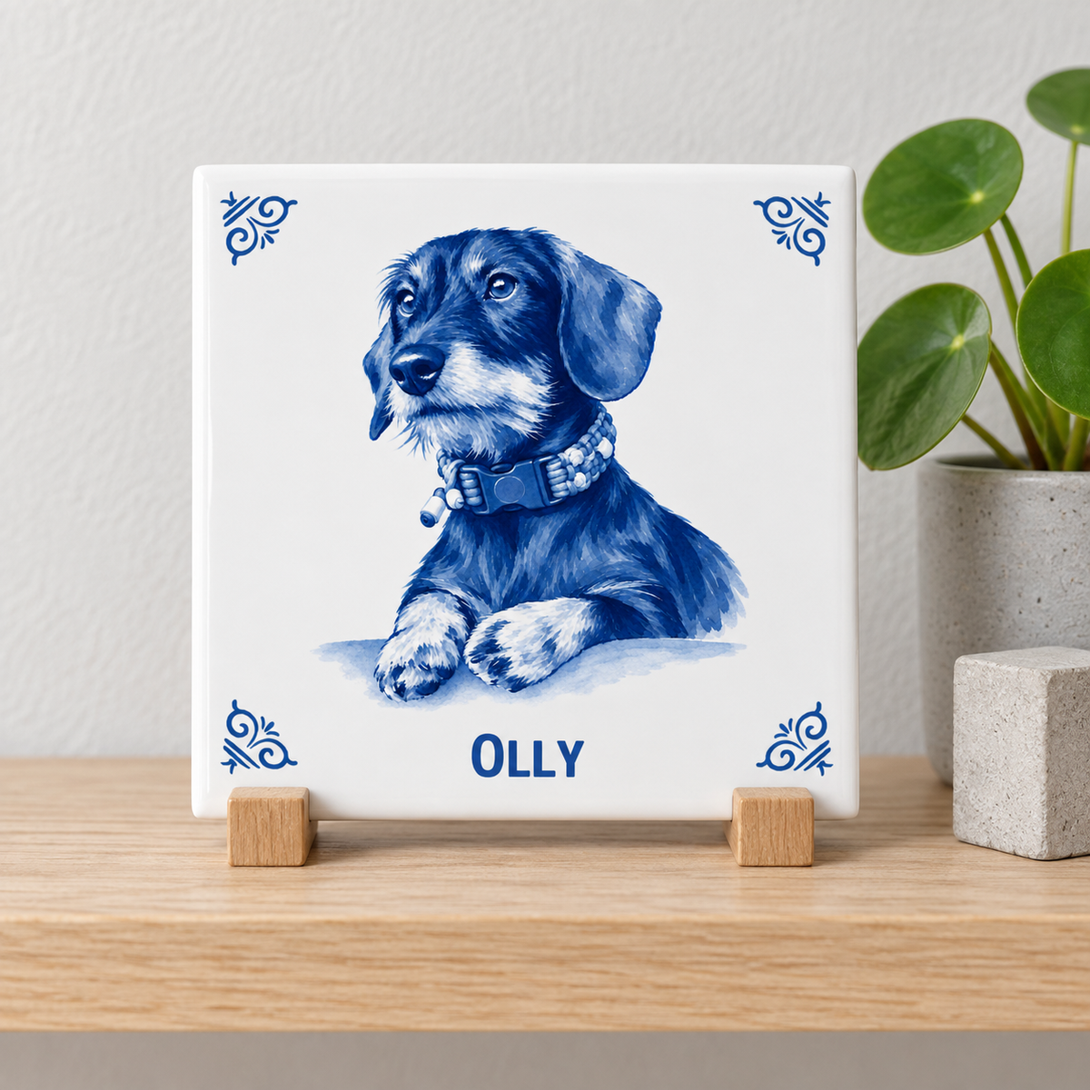 Tegelontwerp Olly AT1547
